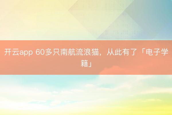 開云app 60多只南航流浪貓,從此有了「電子學籍」