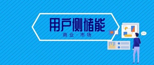 電力輔助服務(wù)市場(chǎng) 是賺錢的藍(lán)海還是虧損的迷局？