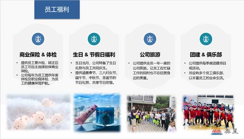 奧星集團(tuán)2020年招生簡(jiǎn)章與專業(yè)輔助服務(wù)說明